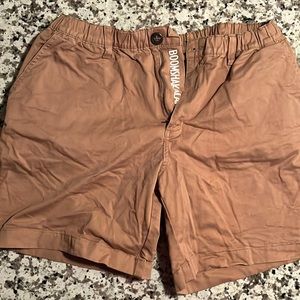 Chubbies Khaki Shorts